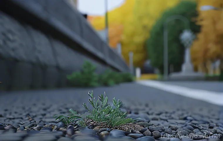 타요 버스 친구들 관련 이미지 1