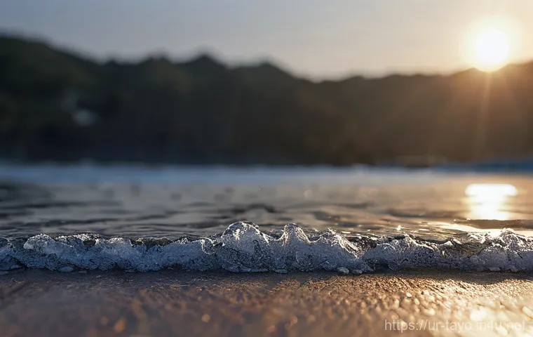 타요 버스 친구들 이미지 1